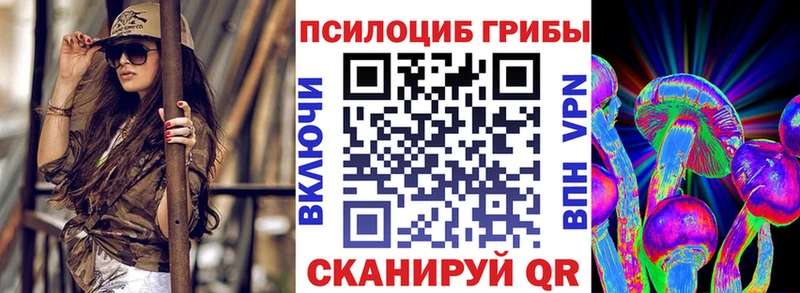 Псилоцибиновые грибы Cubensis  Купить  Курильск 